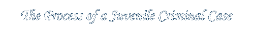 Juvenile Process